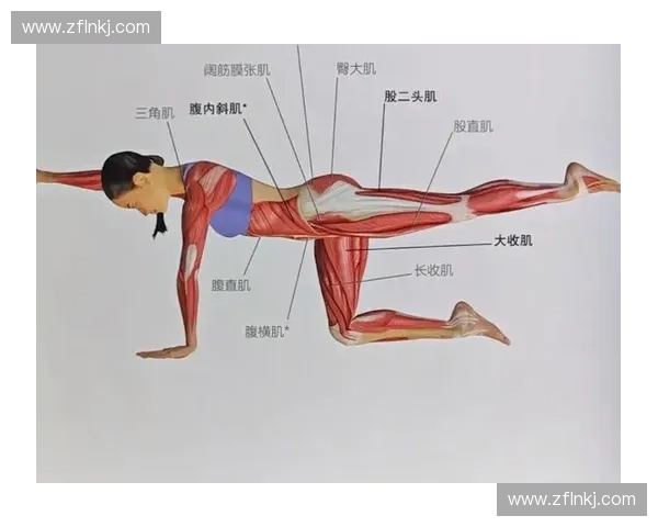 以转训练度为核心提升运动表现与肌肉协调性的科学方法探索